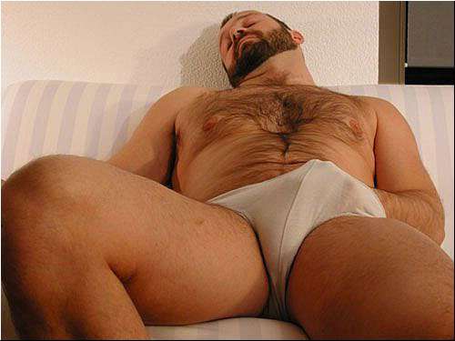 Featured bear