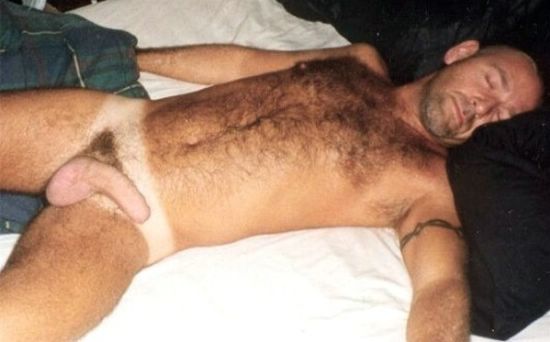 Featured bear