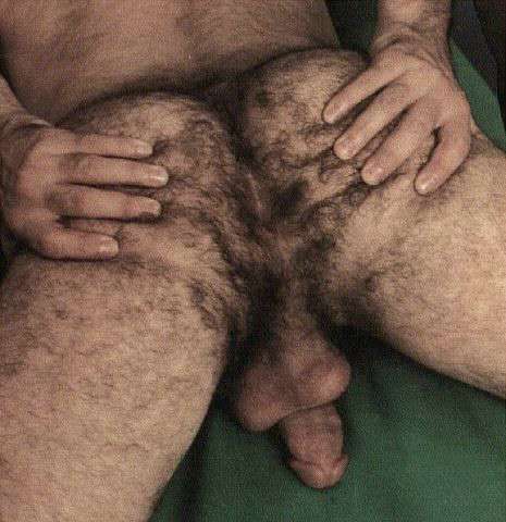Featured bear