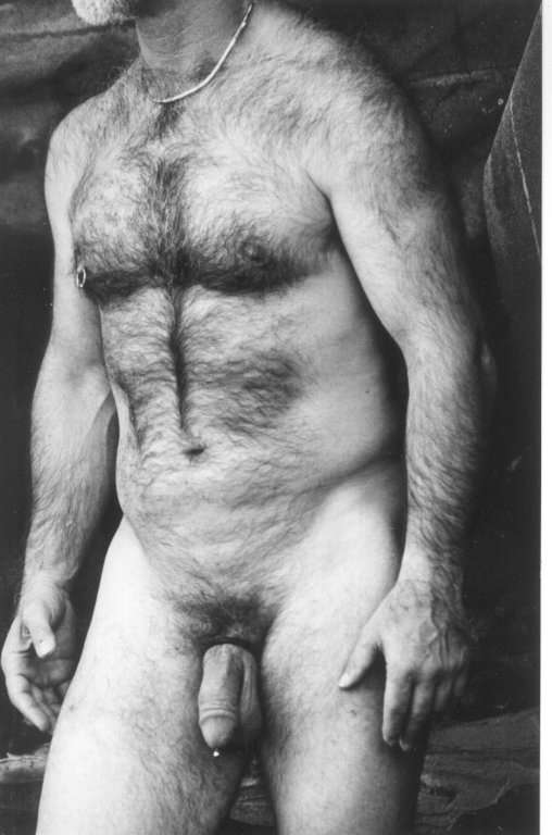 Featured bear