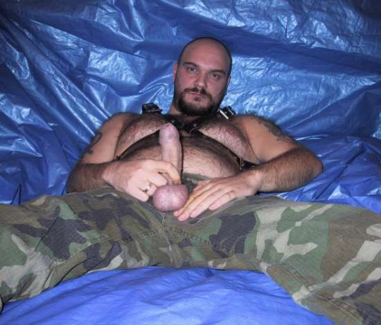 Featured bear