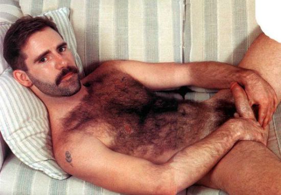 Featured bear