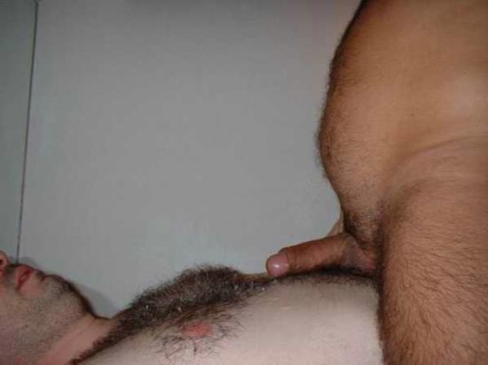 Featured bear