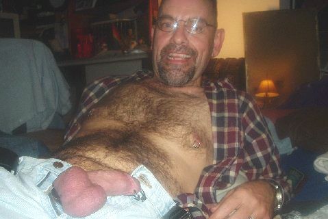 Featured bear