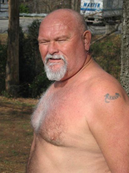 Featured bear