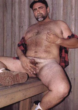 Featured bear