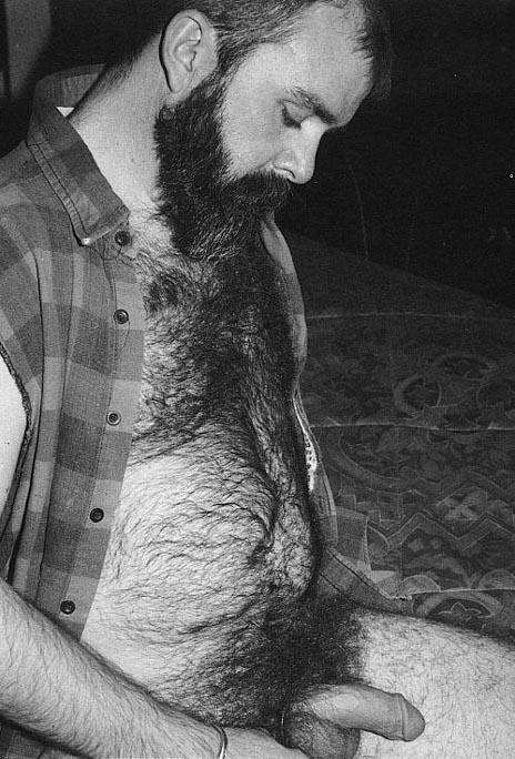 Featured bear