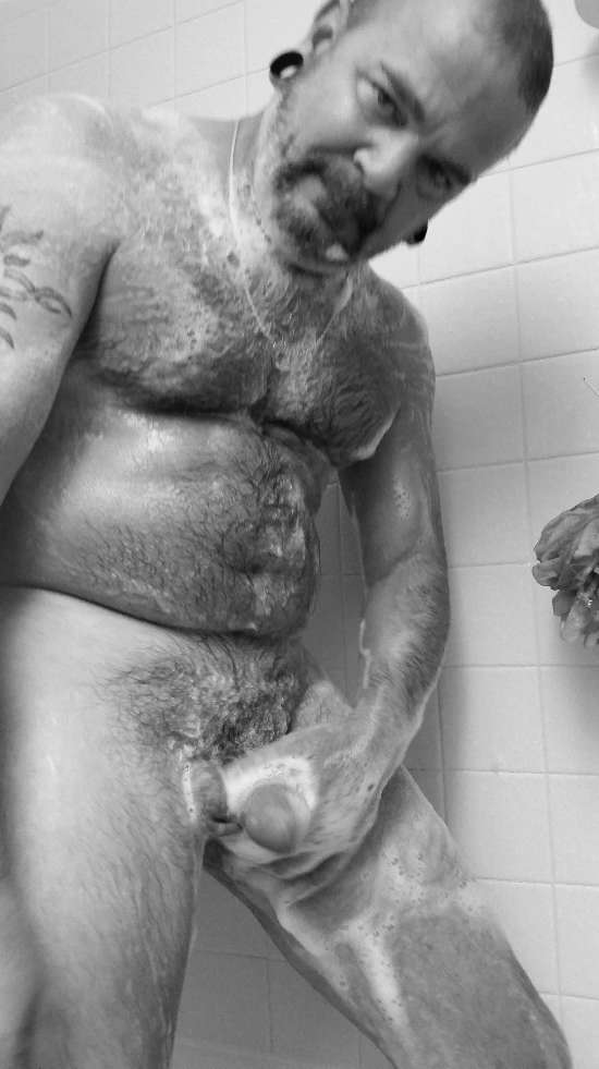 Featured bear