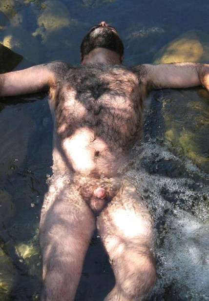 Featured bear