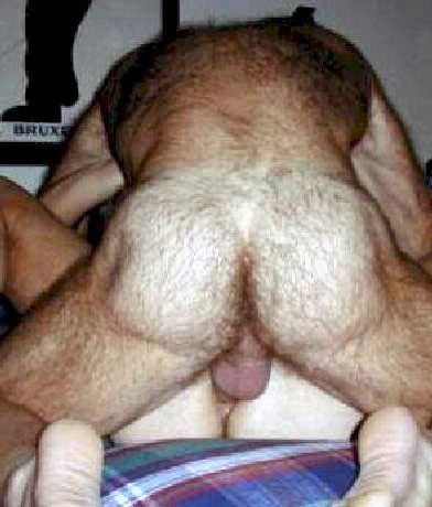 Featured bear