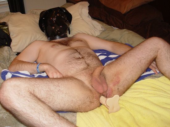 Featured bear