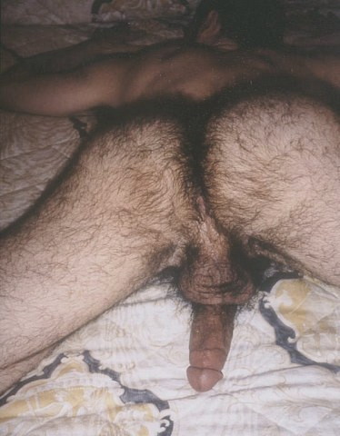 Featured bear