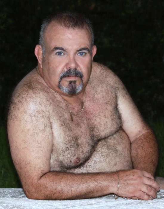 Featured bear