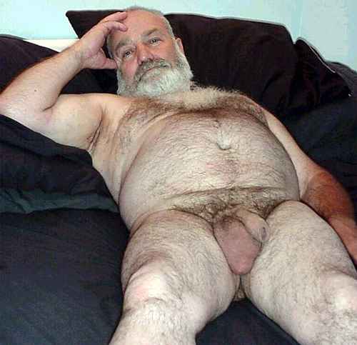 Featured bear