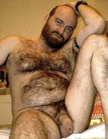 Featured bear