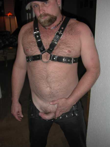 Featured bear