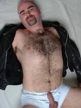 Featured bear