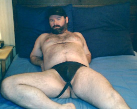 Featured bear