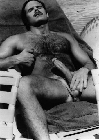 Featured bear
