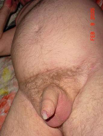 Featured bear