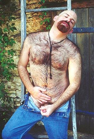 Featured bear