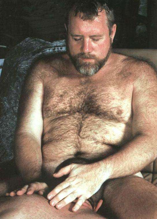 Featured bear