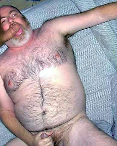 Featured bear