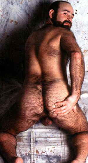 Featured bear