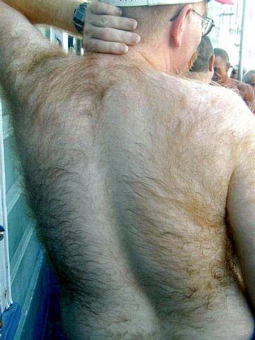 Featured bear