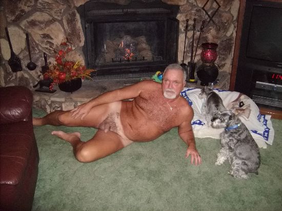 Featured bear