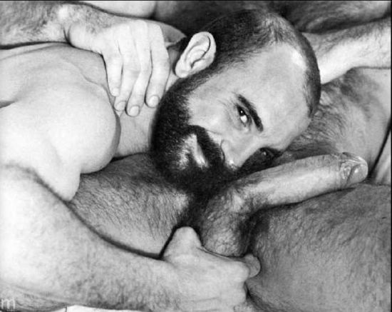 Featured bear