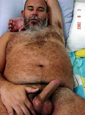 Featured bear