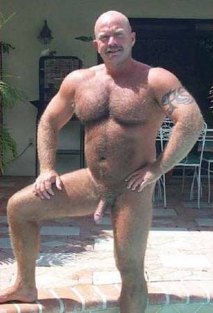 Featured bear