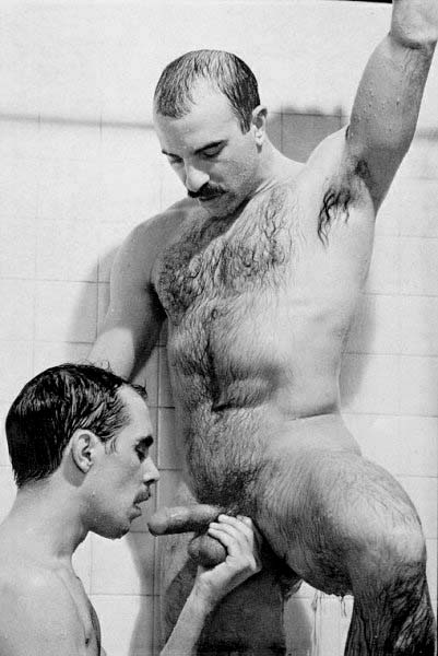 Featured bear