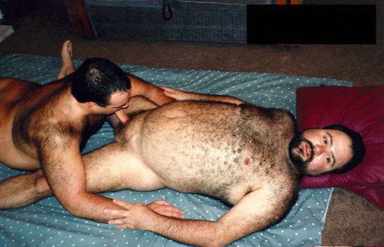 Featured bear