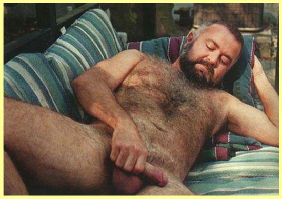 Featured bear