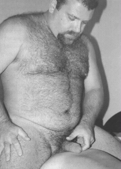 Featured bear