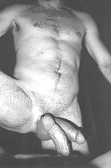 Featured bear