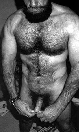 Featured bear