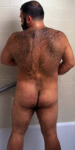 Featured bear