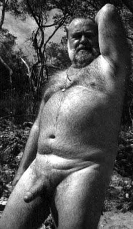 Featured bear