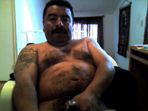 Featured bear
