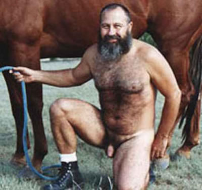 Featured bear