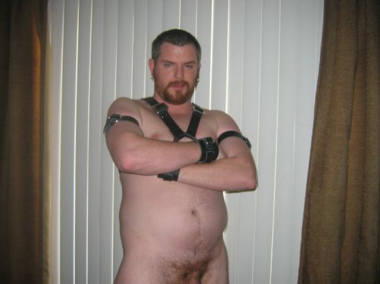 Featured bear