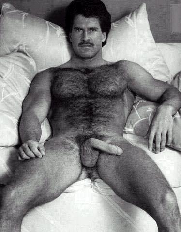Featured bear