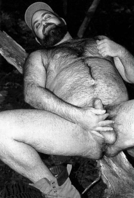 Featured bear