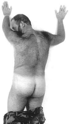 Featured bear