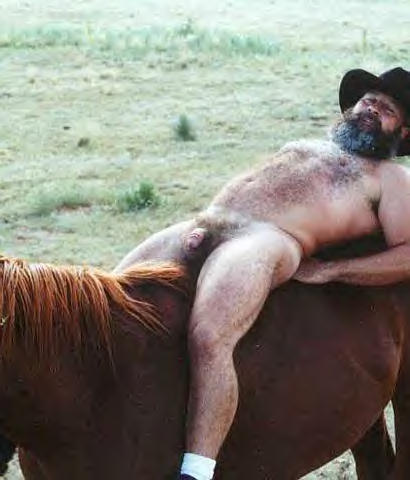 Featured bear