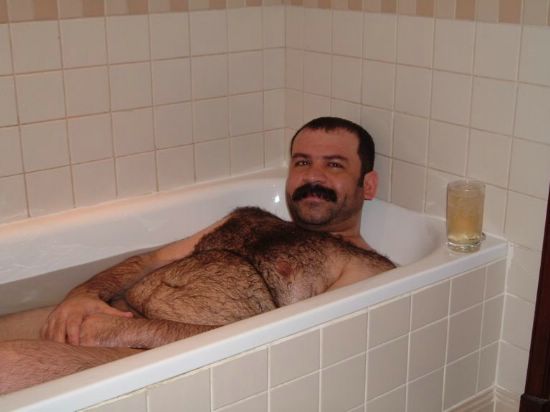 Featured bear