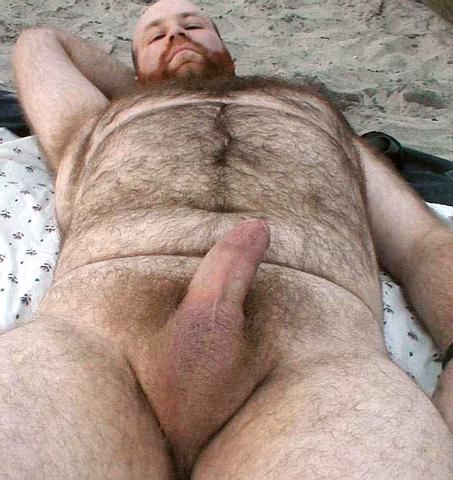Featured bear